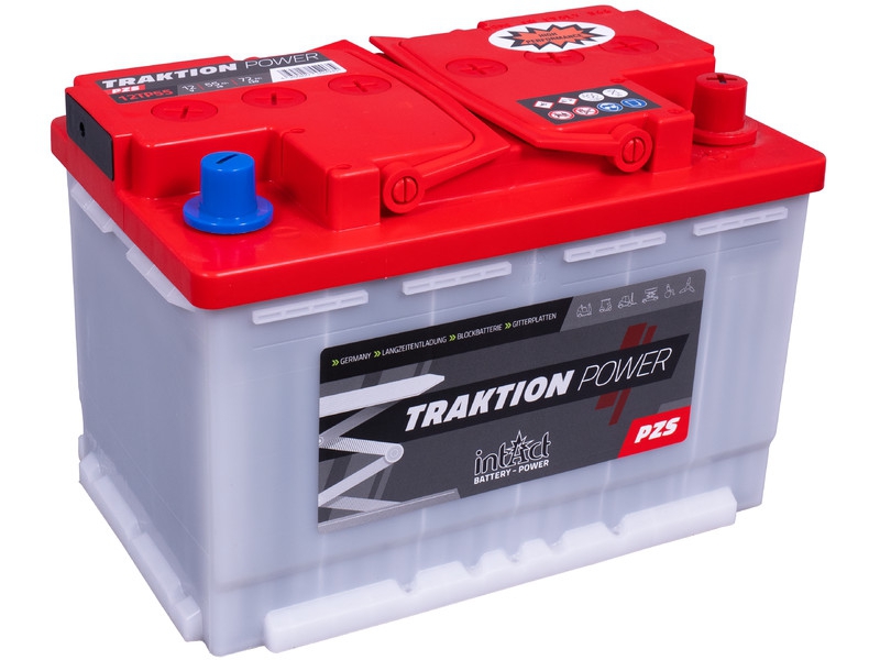 intAct Traktion-Power PzS 12TP55 Antriebsbatterie 12V 55Ah